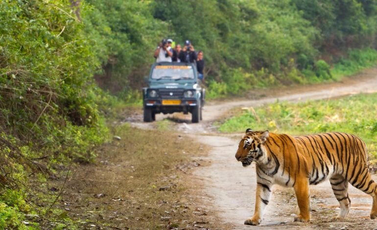 Jim Corbett – An Adventurous Jungle Adventure