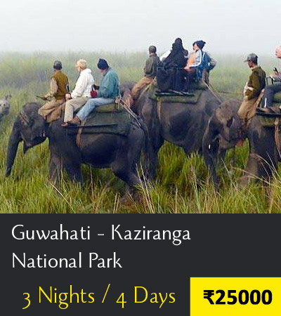 Elephant Safari in Kaziranga Package